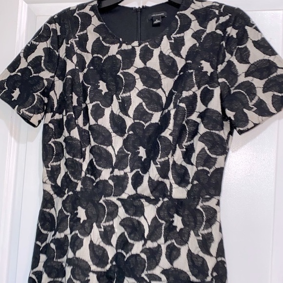 Ann Taylor floral dress size 6 fit and flare - Picture 5 of 10